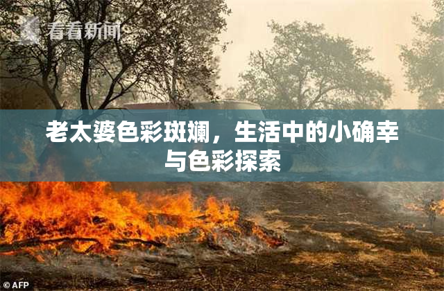 老太婆色彩斑斓，生活中的小确幸与色彩探索