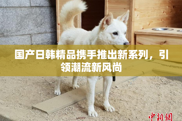 国产日韩精品携手推出新系列，引领潮流新风尚