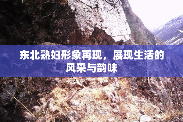 东北熟妇形象再现，展现生活的风采与韵味