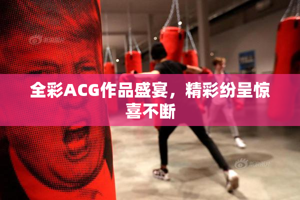 全彩ACG作品盛宴，精彩纷呈惊喜不断