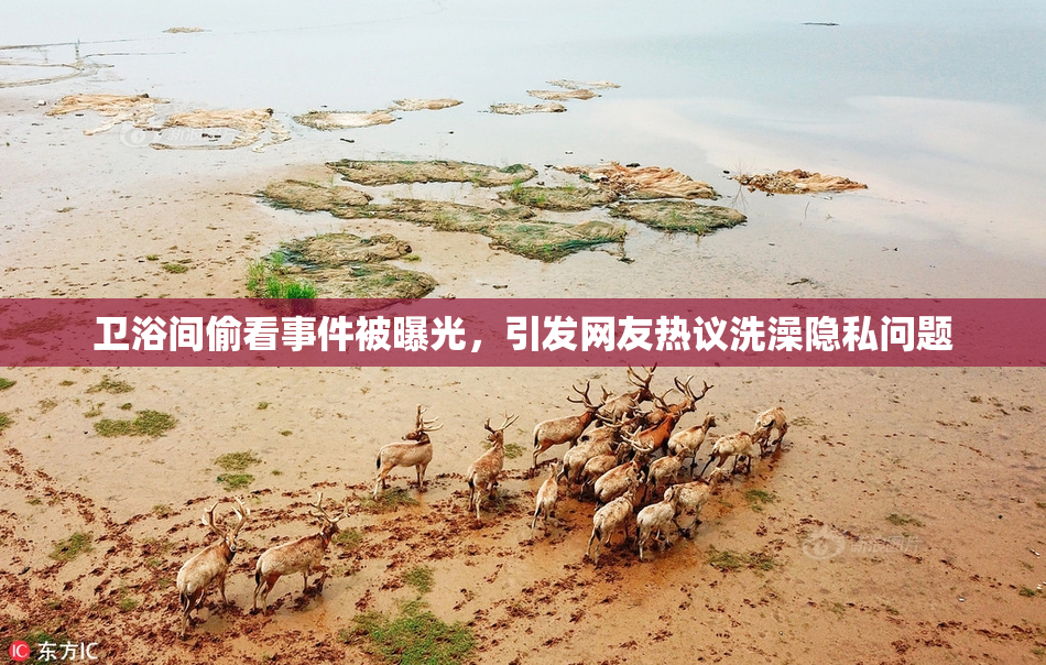卫浴间偷看事件被曝光，引发网友热议洗澡隐私问题