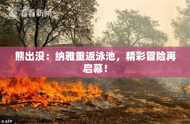 熊出没：纳雅重返泳池，精彩冒险再启幕！