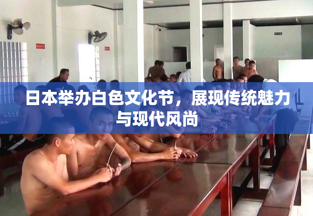 日本举办白色文化节，展现传统魅力与现代风尚