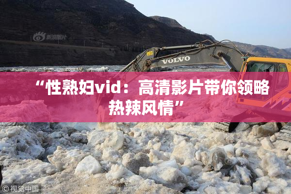 “性熟妇vid：高清影片带你领略热辣风情”