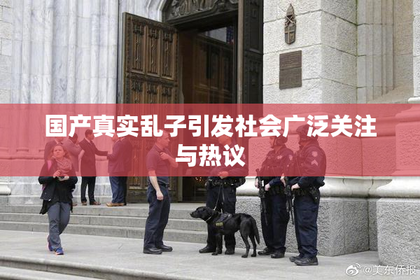 国产真实乱子引发社会广泛关注与热议