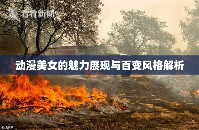 动漫美女的魅力展现与百变风格解析