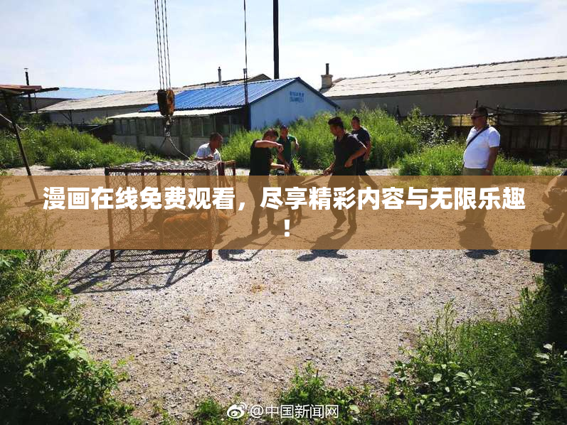 漫画在线免费观看，尽享精彩内容与无限乐趣！