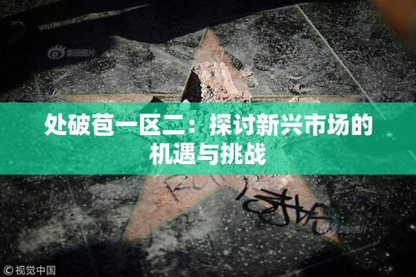 处破苞一区二：探讨新兴市场的机遇与挑战