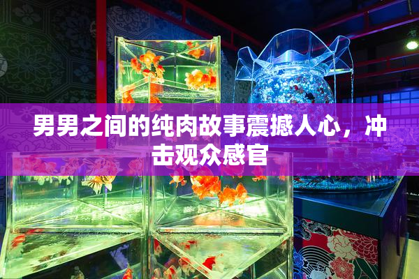 男男之间的纯肉故事震撼人心，冲击观众感官