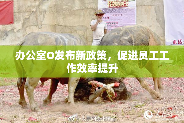 办公室O发布新政策，促进员工工作效率提升