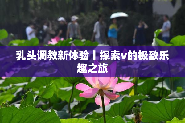 乳头调教新体验丨探索v的极致乐趣之旅