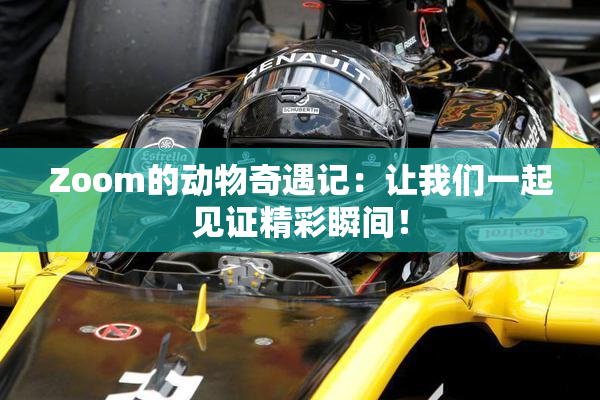 Zoom的动物奇遇记：让我们一起见证精彩瞬间！