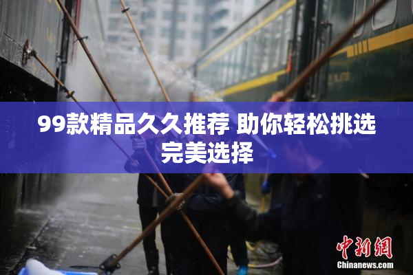 99款精品久久推荐 助你轻松挑选完美选择