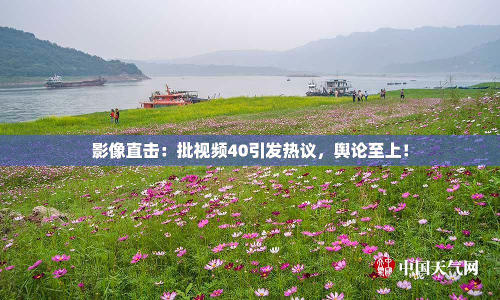 影像直击：批视频40引发热议，舆论至上！