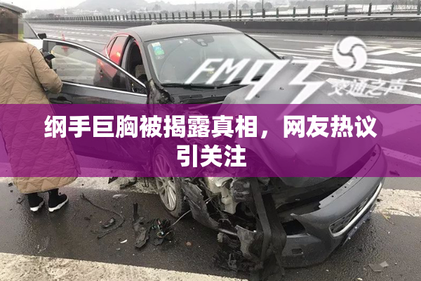 纲手巨胸被揭露真相，网友热议引关注