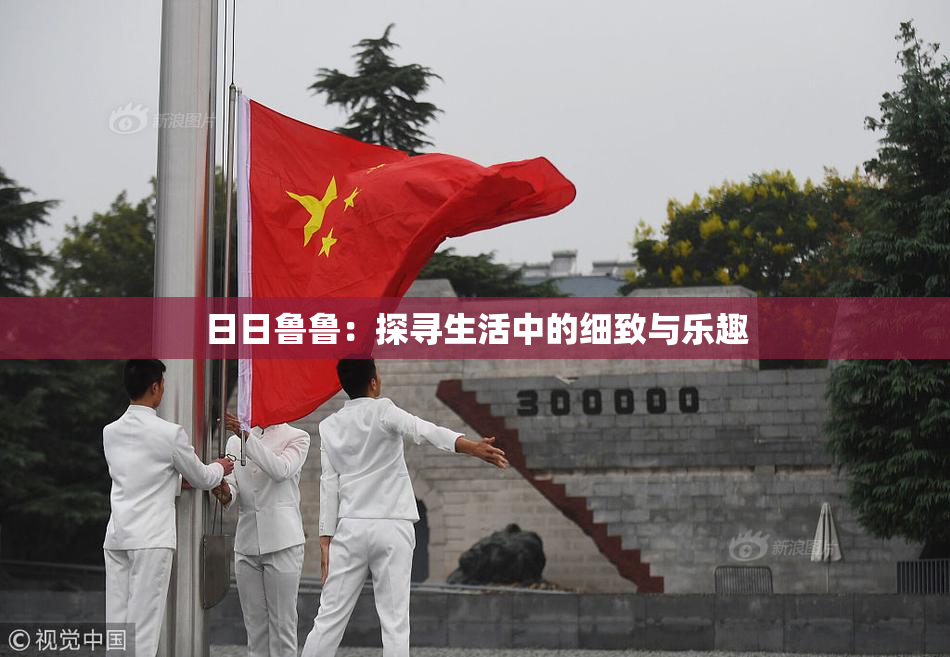 日日鲁鲁：探寻生活中的细致与乐趣