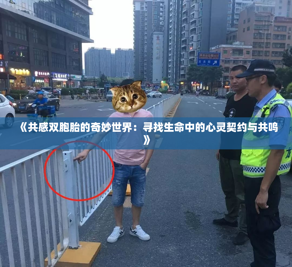 《共感双胞胎的奇妙世界：寻找生命中的心灵契约与共鸣》