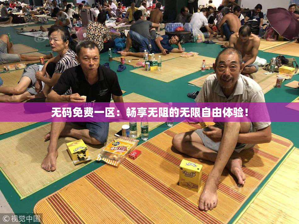 无码免费一区：畅享无阻的无限自由体验！