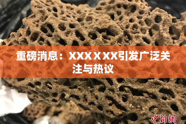 重磅消息：XXXⅩXX引发广泛关注与热议
