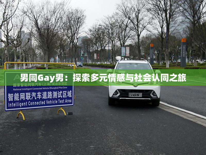 男同Gay男：探索多元情感与社会认同之旅