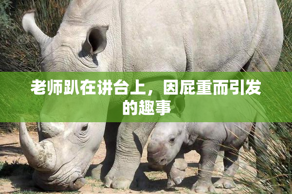 老师趴在讲台上，因屁重而引发的趣事