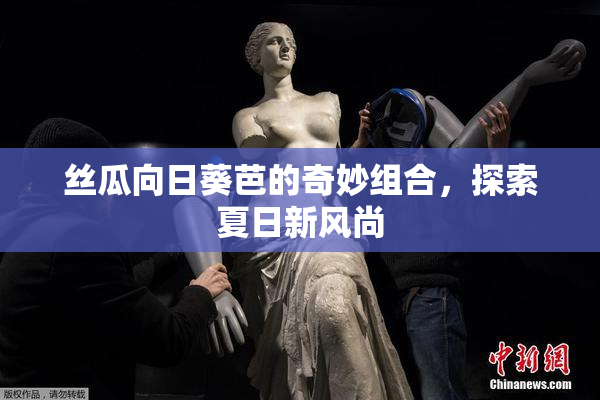 丝瓜向日葵芭的奇妙组合，探索夏日新风尚