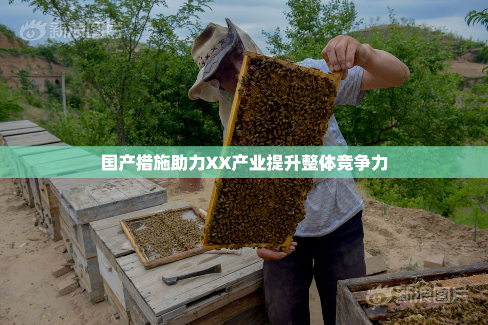 国产措施助力XX产业提升整体竞争力