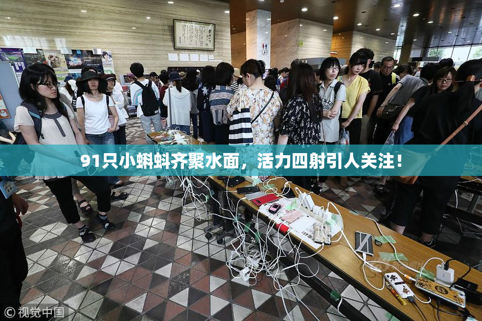 91只小蝌蚪齐聚水面，活力四射引人关注！