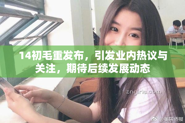 14初毛重发布，引发业内热议与关注，期待后续发展动态