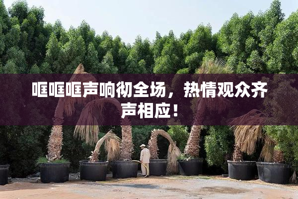 哐哐哐声响彻全场，热情观众齐声相应！