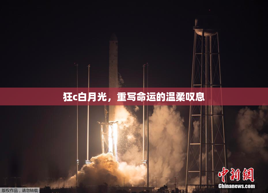 狂c白月光，重写命运的温柔叹息
