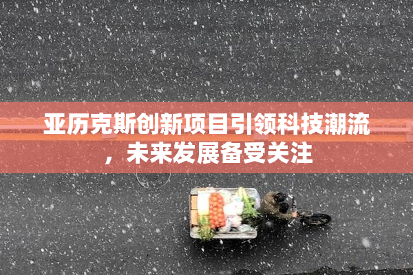 亚历克斯创新项目引领科技潮流，未来发展备受关注