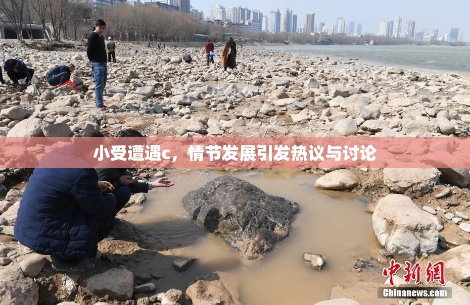 小受遭遇c，情节发展引发热议与讨论