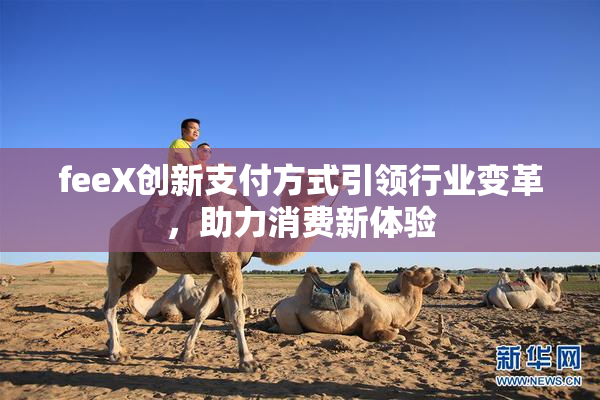 feeX创新支付方式引领行业变革，助力消费新体验