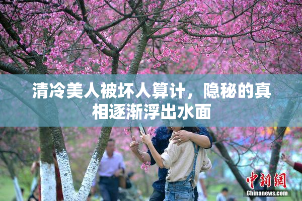 清冷美人被坏人算计，隐秘的真相逐渐浮出水面