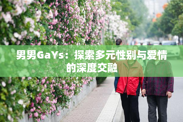 男男GaYs：探索多元性别与爱情的深度交融