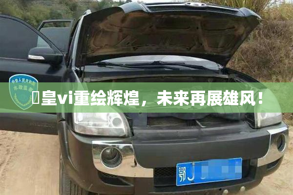 嘼皇vi重绘辉煌，未来再展雄风！
