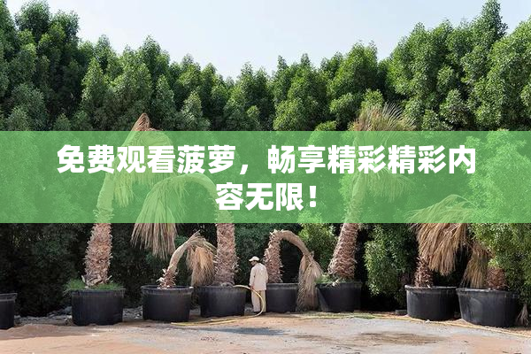 免费观看菠萝，畅享精彩精彩内容无限！