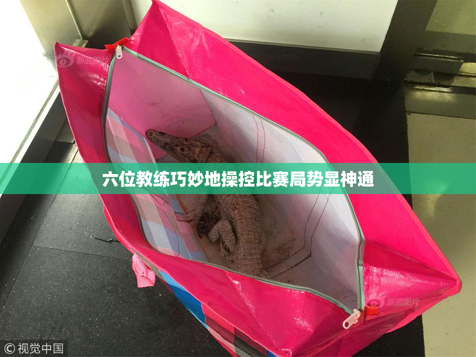 六位教练巧妙地操控比赛局势显神通