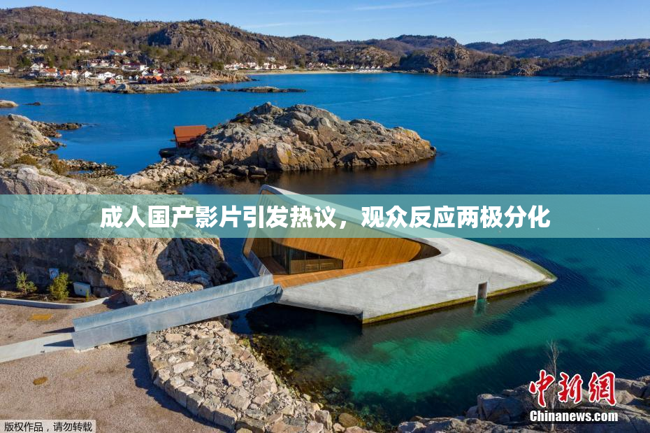 成人国产影片引发热议，观众反应两极分化