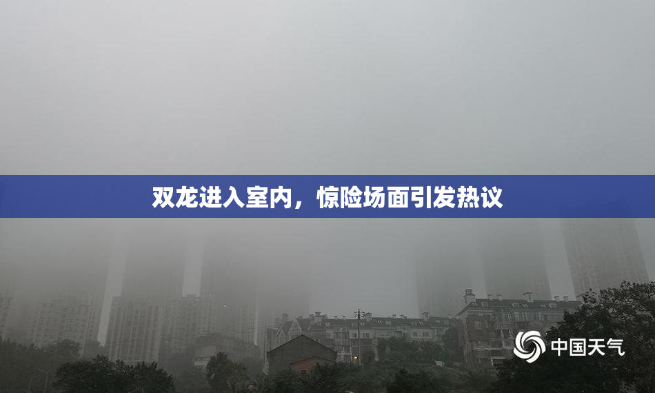 双龙进入室内，惊险场面引发热议