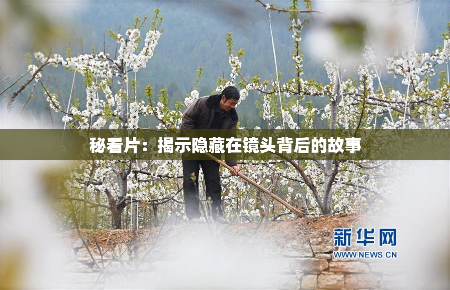 秘看片：揭示隐藏在镜头背后的故事