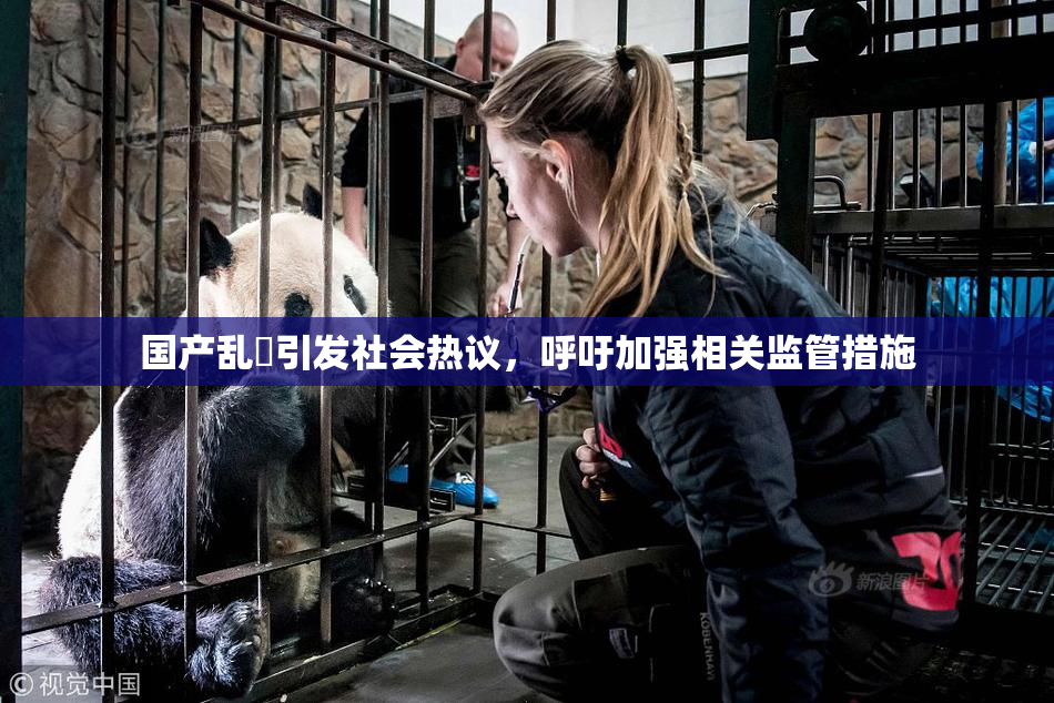 国产乱婬引发社会热议，呼吁加强相关监管措施