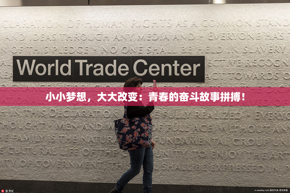 小小梦想，大大改变：青春的奋斗故事拼搏！
