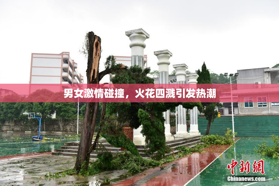 男女激情碰撞，火花四溅引发热潮