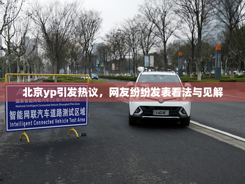 北京yp引发热议，网友纷纷发表看法与见解