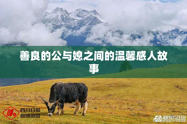 善良的公与媳之间的温馨感人故事