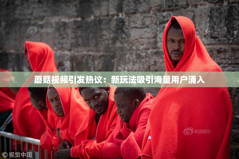 蘑菇视频引发热议：新玩法吸引海量用户涌入