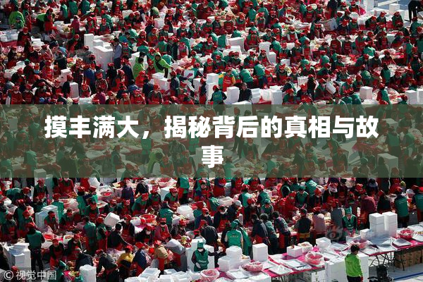 摸丰满大，揭秘背后的真相与故事
