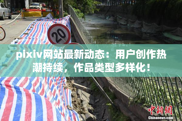 pixiv网站最新动态：用户创作热潮持续，作品类型多样化！